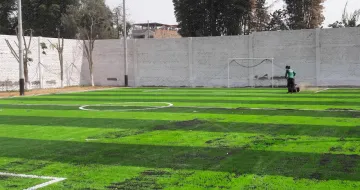ERSGRASS